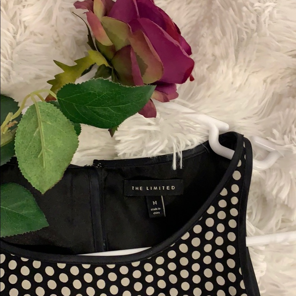 Polka dot swing dress from the Limited. - Picture 5 of 6